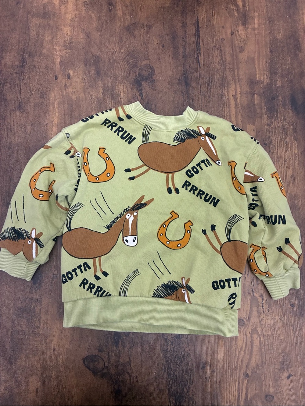 H&M 3/4T Western Horse Sweatshirt